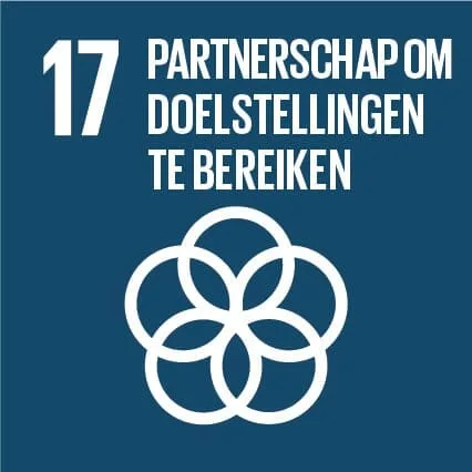 sdg-17