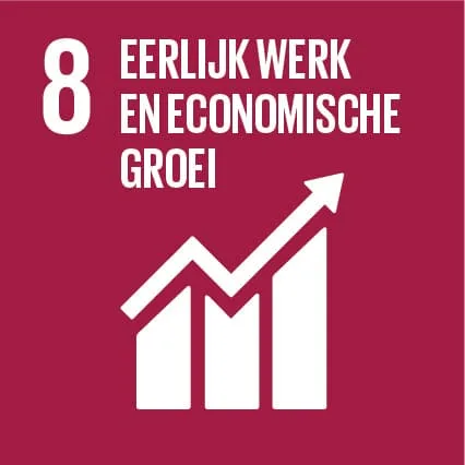 sdg-8